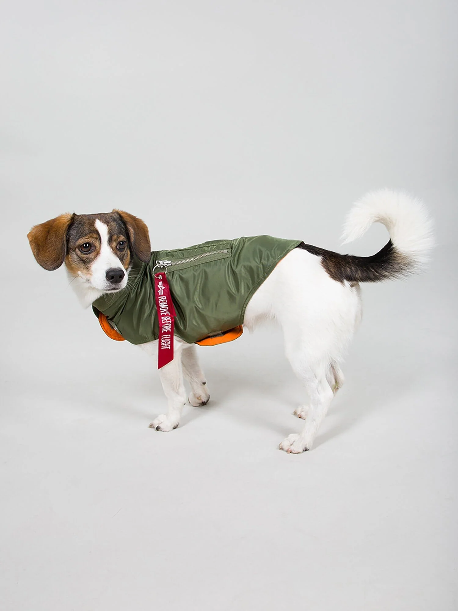 DOG MA-1 NYLON FLIGHT JACKET - Image 3