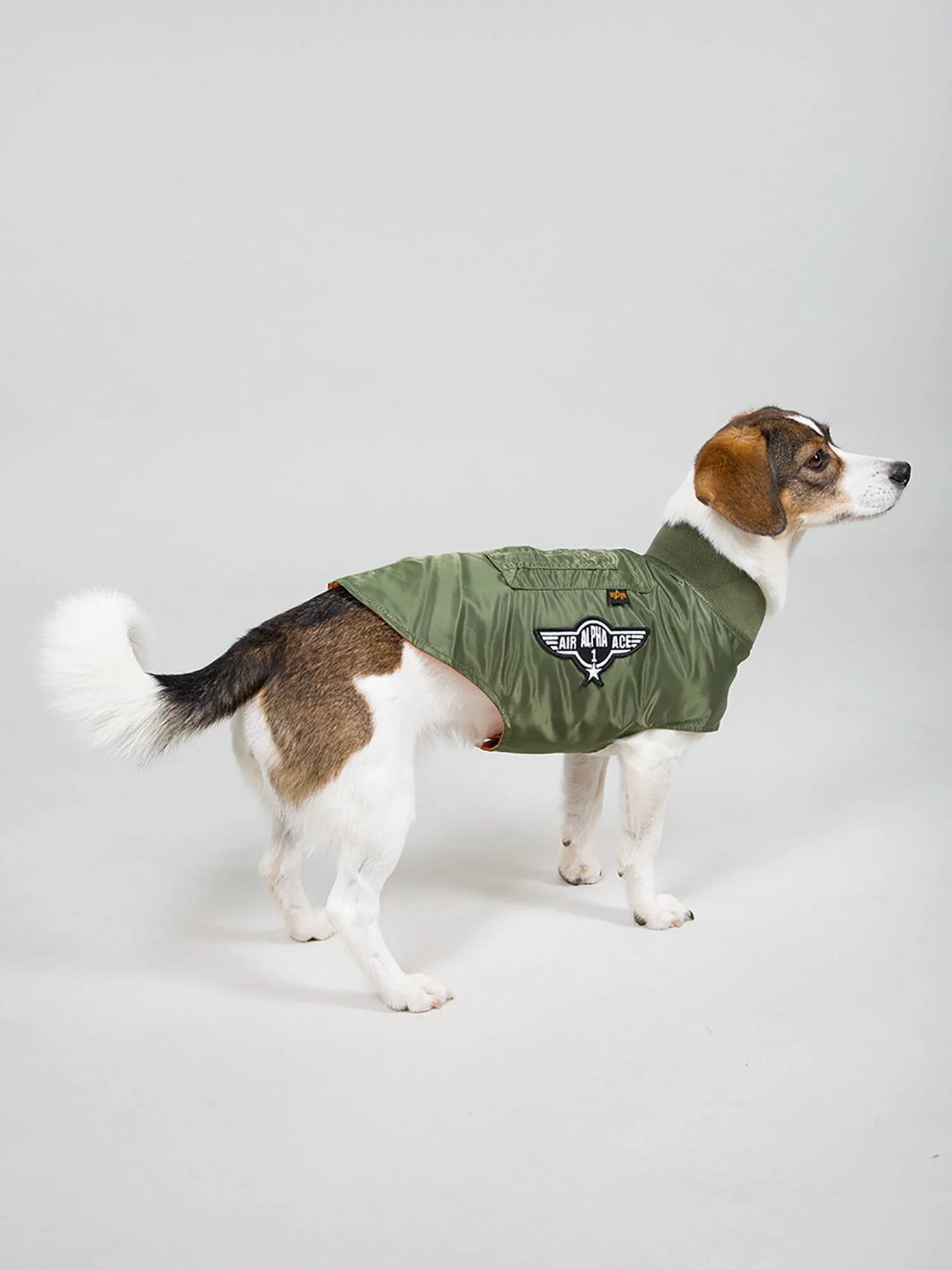 DOG MA-1 NYLON FLIGHT JACKET - Image 4