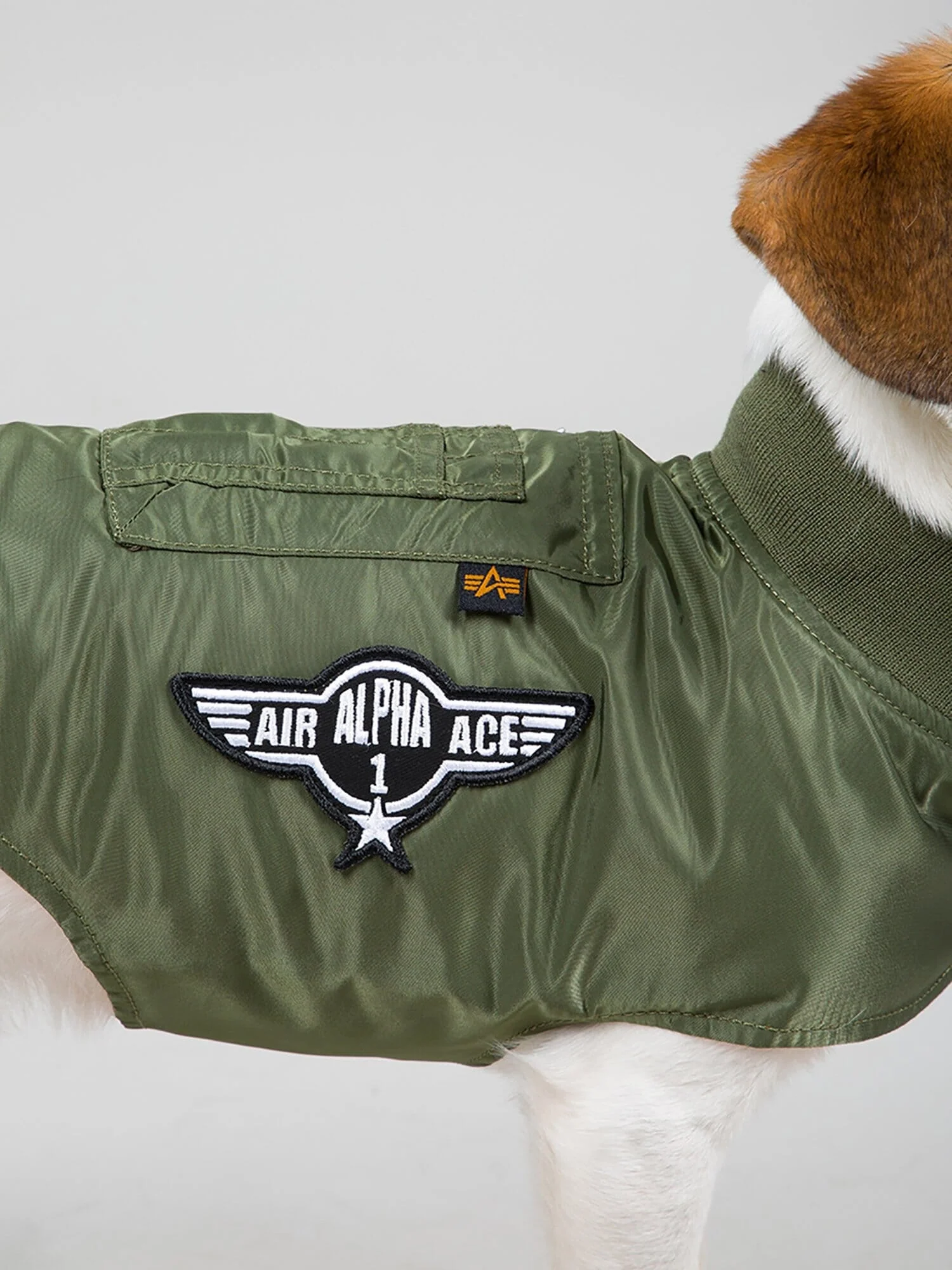 DOG MA-1 NYLON FLIGHT JACKET - Image 9