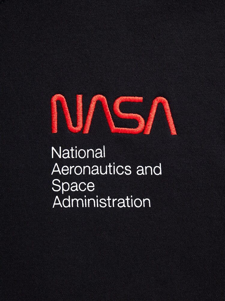 NASA WORM LOGO HOODIE - Image 13